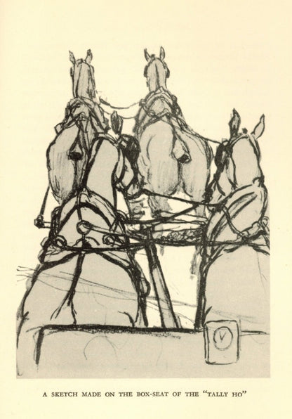 Dimensions 3072 x 4400 pixels