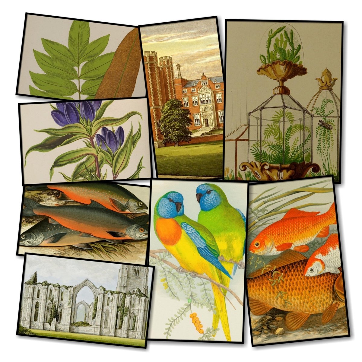 Alexander Francis Lydon Public Domain Images to Download Alexander Francis Lydon Public Domain Images to Download