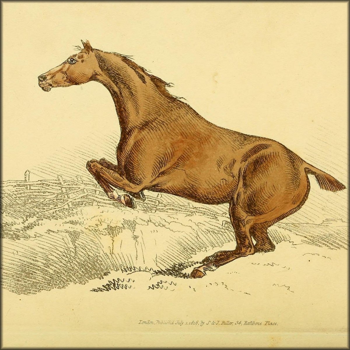 Beauties & Defects in the Horse 1816 - Henry Alken