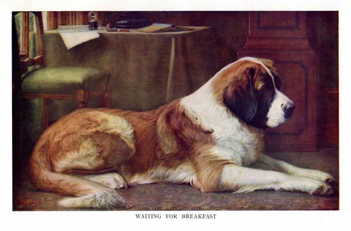 Dimensions 5166 x 3402 pixels