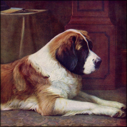 Digital Download - 1 image