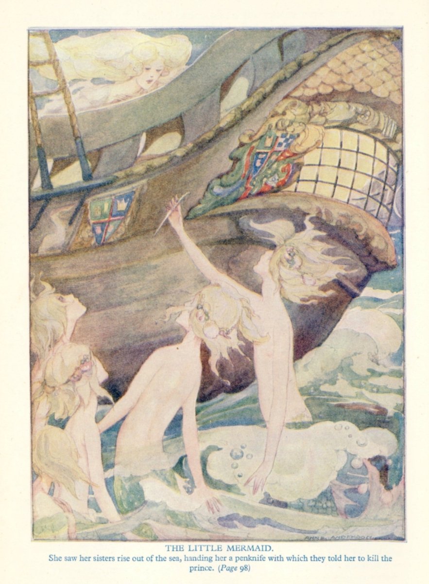 Dimensions 3591 x 4878 pixels