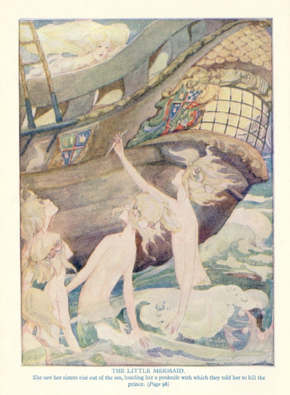 Dimensions 3591 x 4878 pixels