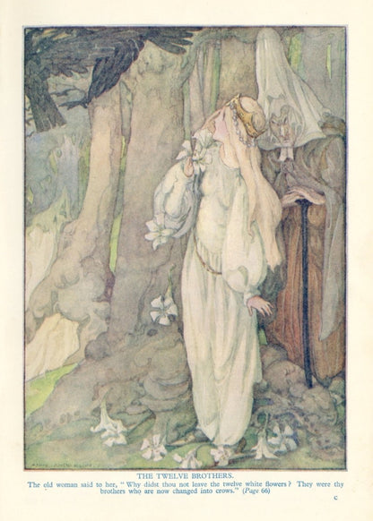 Dimensions 3720 x 5210 pixels