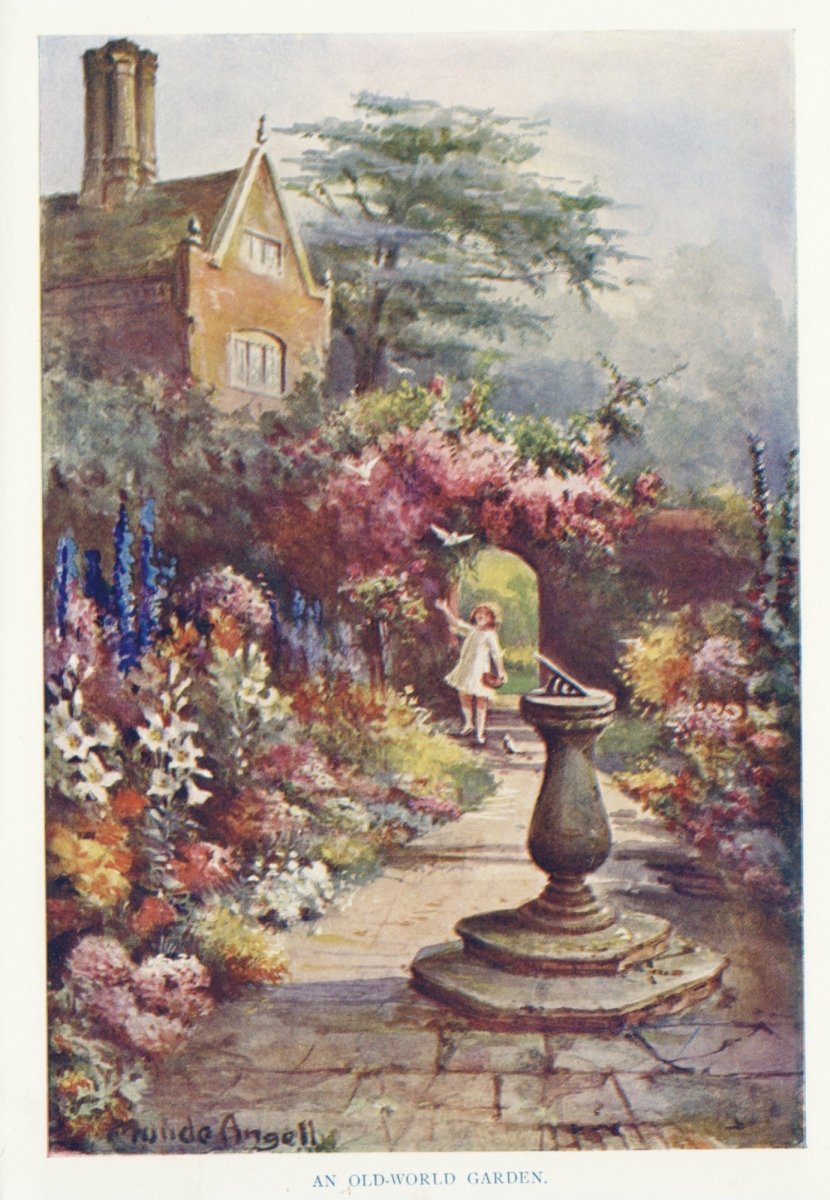 Dimensions 3960 x 5724 pixels