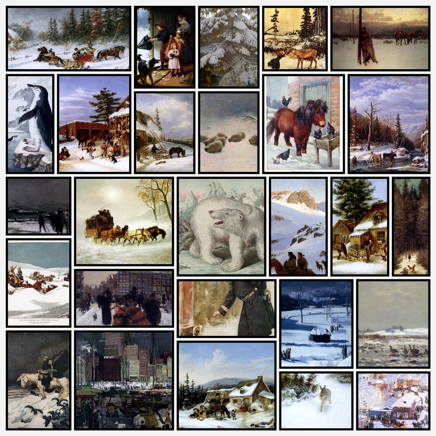 Animals in the Snow - 101 High Resolution Images | A snapshot of some of the images