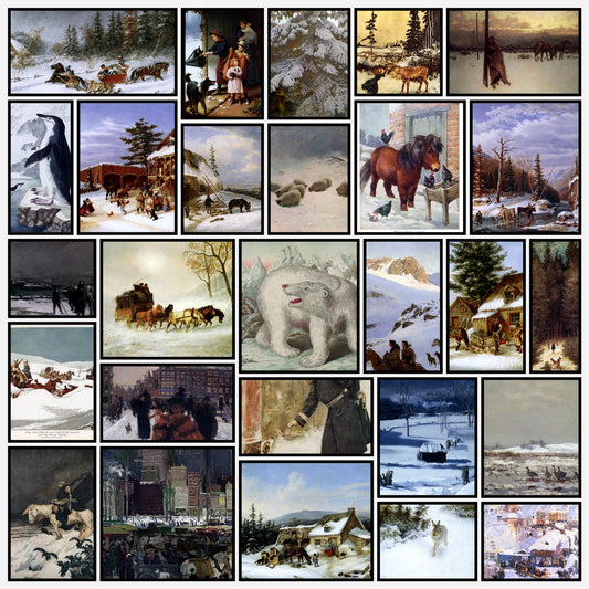 Animals in the Snow - 101 High Resolution Images | A snapshot of some of the images