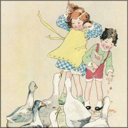 Dimensions 4194 x 6030 pixels