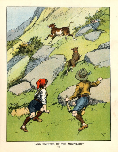 Dimensions 4752 x 6102 pixels