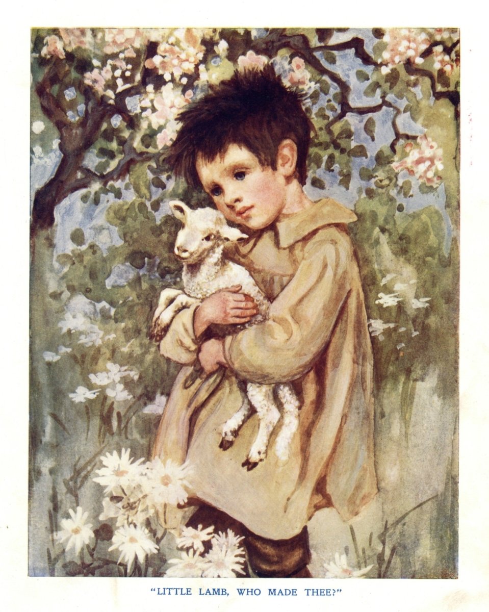 Dimensions 4797 x 6003 pixels