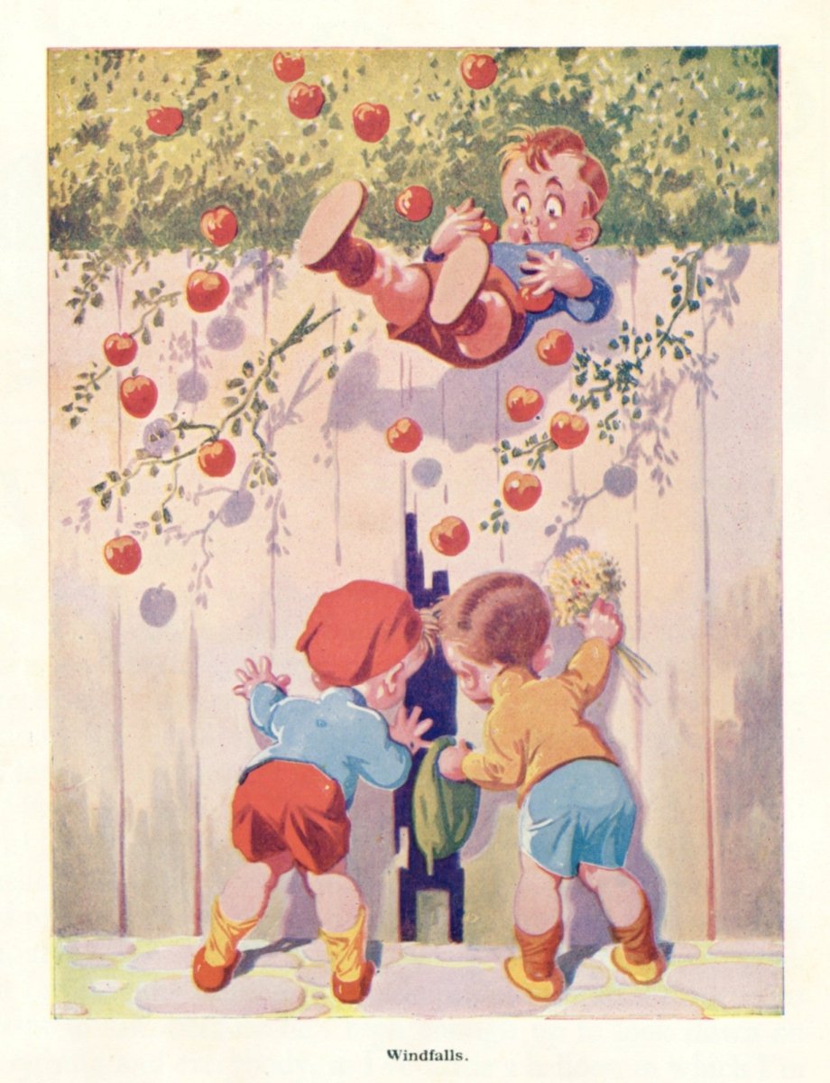 Dimensions 3423 x 4466 pixels