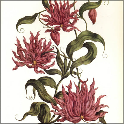 Digital Download - 1 image