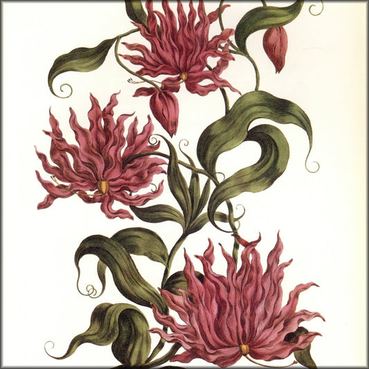 Digital Download - 1 image