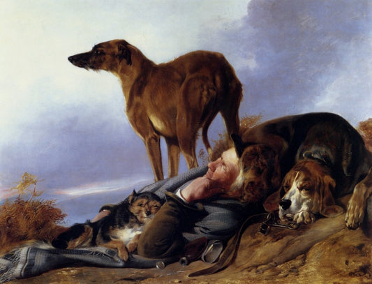 Dimensions 5560 x 4248 pixels 