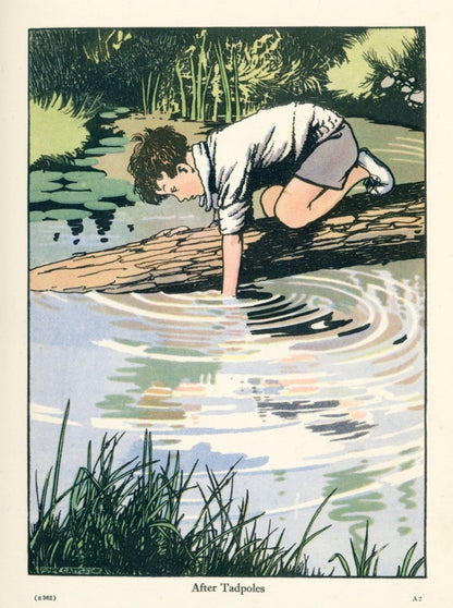 Appleton, Honor C. (1879-1951) - After Tadpoles 1930s