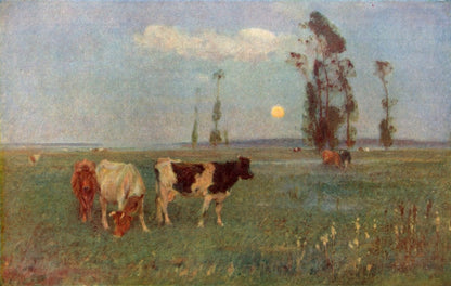 Dimensions 6550 x 4160 pixels