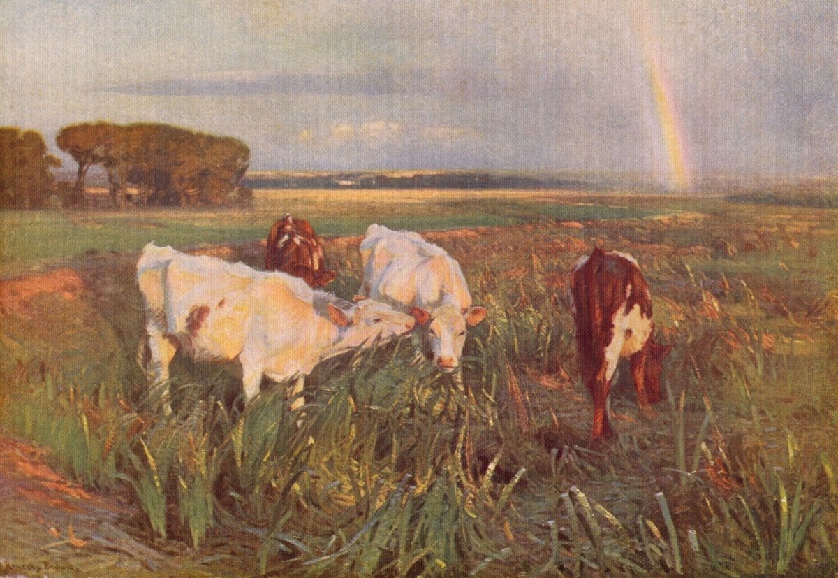 Dimensions 6138 x 4230 pixels