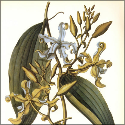 Digital Download - 1 image