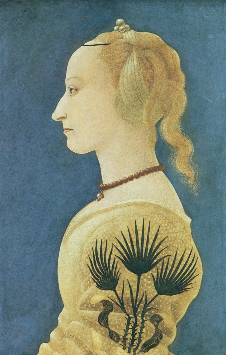 Dimensions 4044 x 6348 pixels