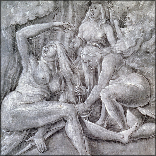 Digital Download - 1 image