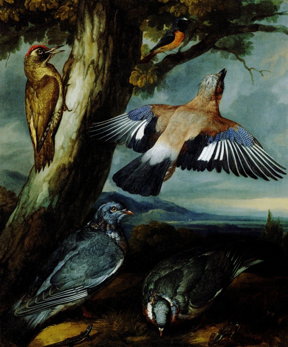 Dimensions 4568 x 5496 pixels