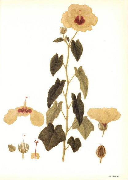 Dimensions 6372 x 8940 pixels