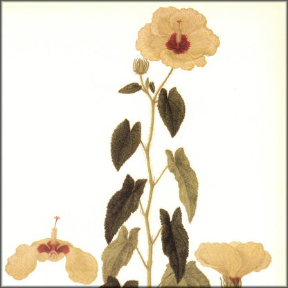 Digital Download - 1 image