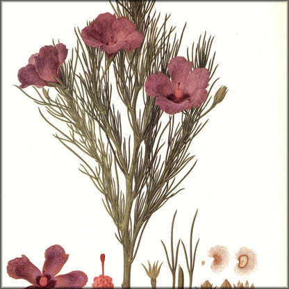 Digital Download - 1 image