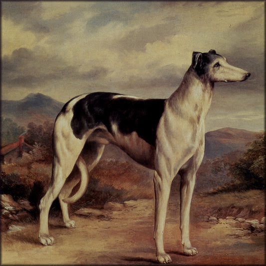 Digital Download - 1 image