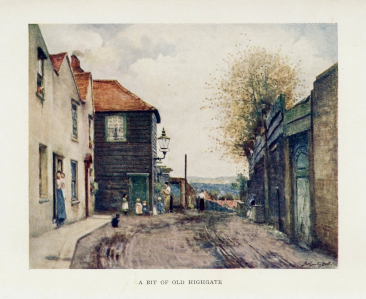 Dimensions 3353 x 2744 pixels