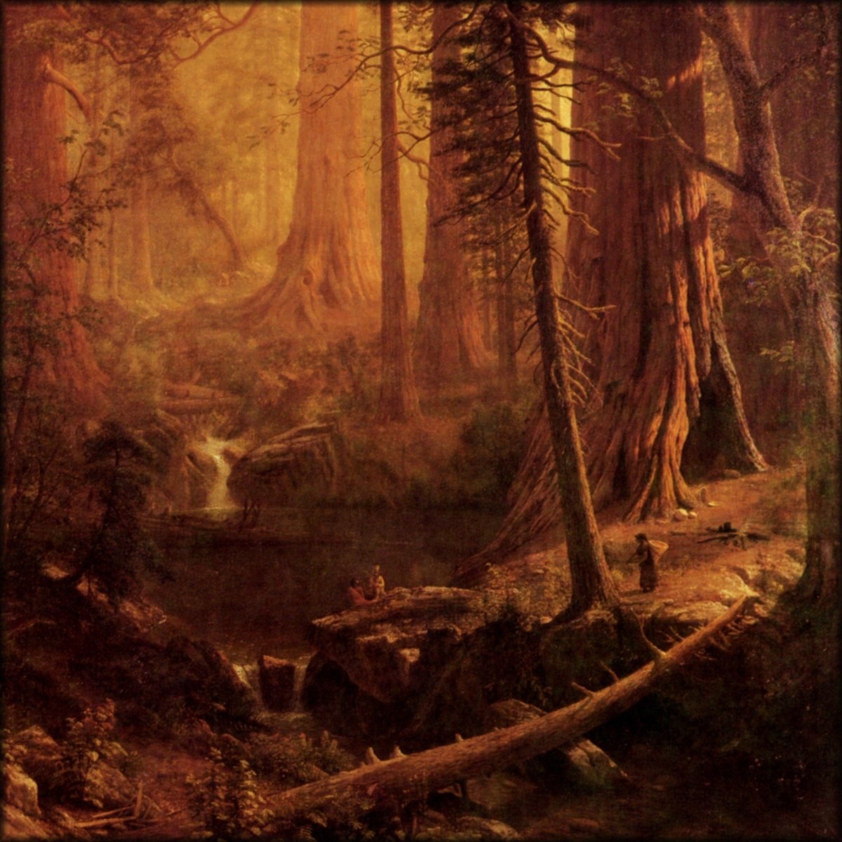 Digital Download - 1 image