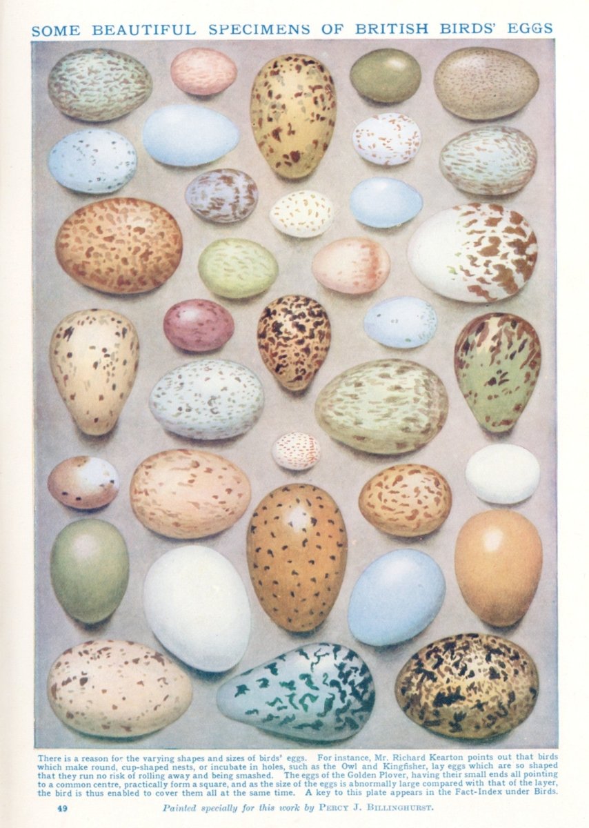 Dimensions 3996 x 5616 pixels