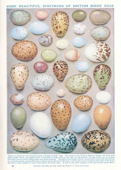 Dimensions 3996 x 5616 pixels