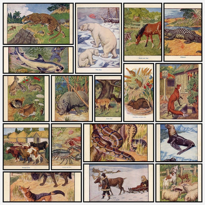 A snapshot of some of the images