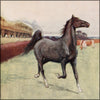 Black Beauty 1916 - Cecil Aldin (1870-1935) - 18 images