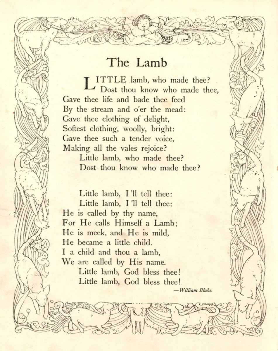 Dimensions 4700 x 5930 pixels