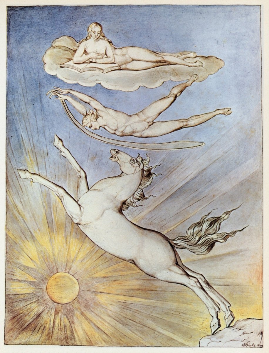 Dimensions 4650 x 6090 pixels