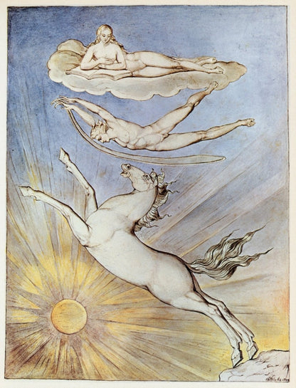 Dimensions 4650 x 6090 pixels