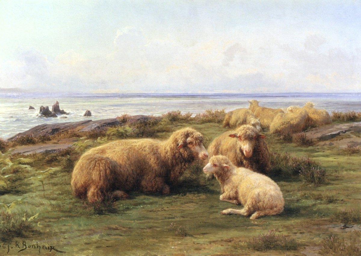 Dimensions 4662 x 3306 pixels