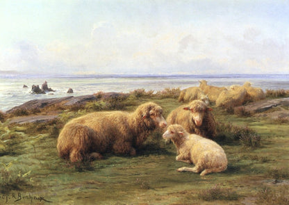 Dimensions 4662 x 3306 pixels