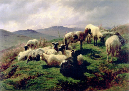 Dimensions 4249 x 3017 pixels