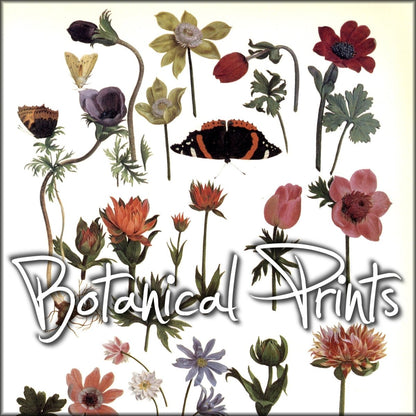 Botanical Prints | Digital Download - 40 images