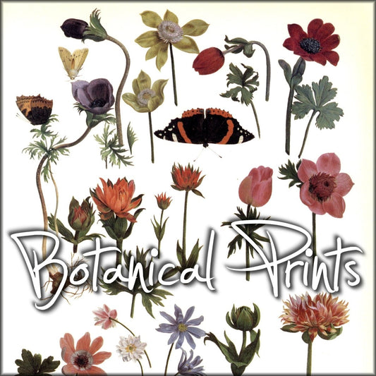 Botanical Prints | Digital Download - 40 images