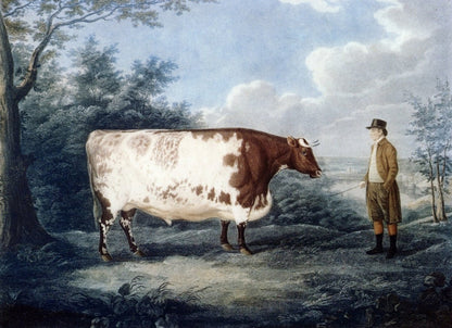 Dimensions 4592 x 3332 pixels