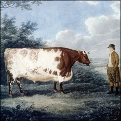 Digital Download - 1 image