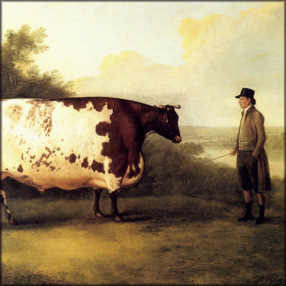 Digital Download - 1 image