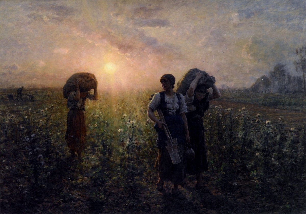 Dimensions 5238 x 3672 pixels