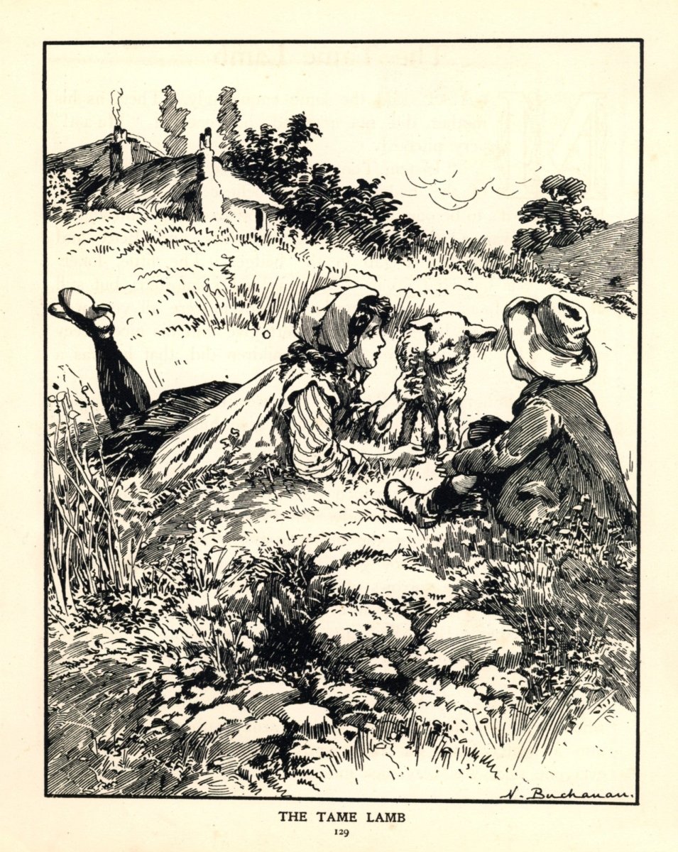 Dimensions 4824 x 6060 pixels