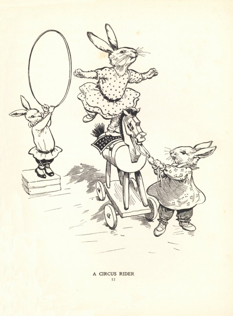 Dimensions 4648 x 6280 pixels