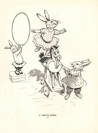 Dimensions 4648 x 6280 pixels